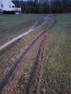 St. Mary's deputies looking for alleged lawn destroyer