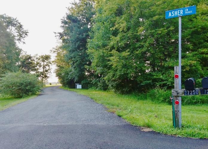Asher Lane