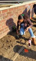 Tree planting to leave legacy at Charles schools