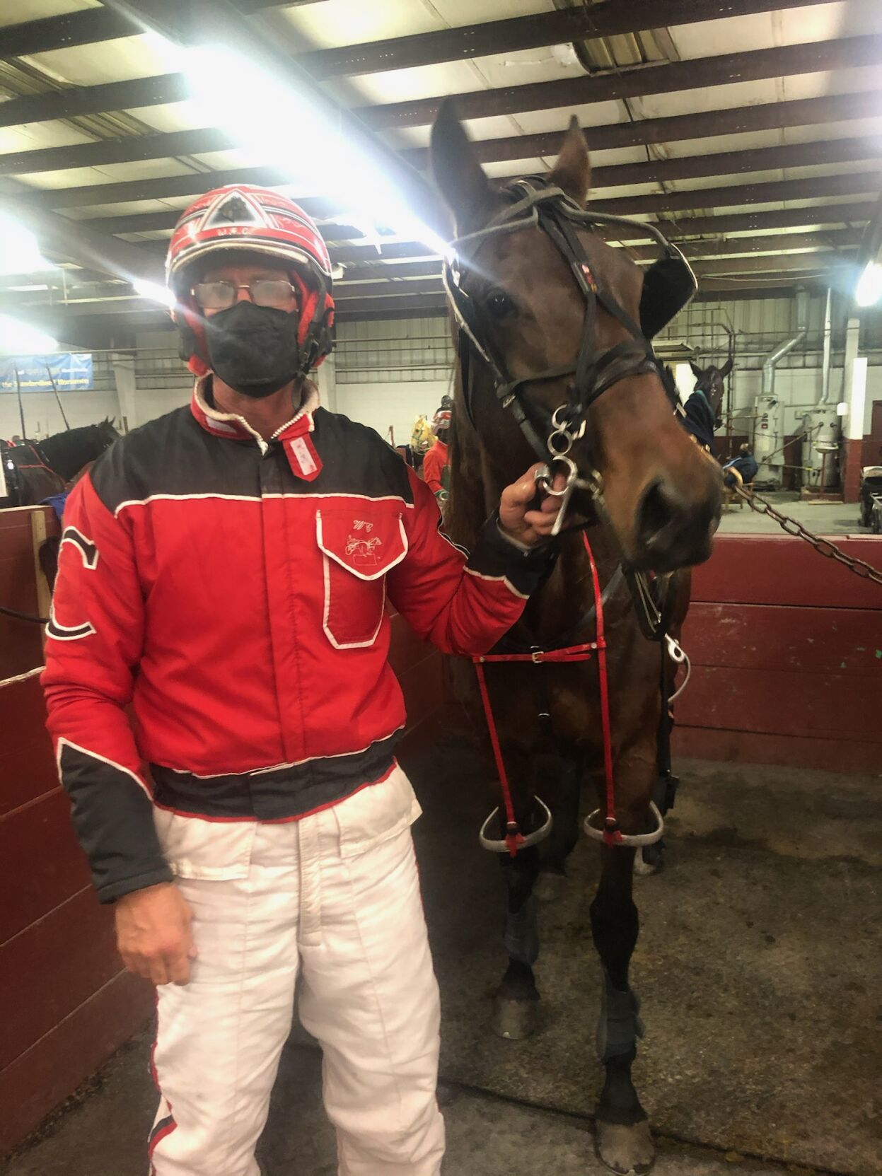Cox racing harness horses