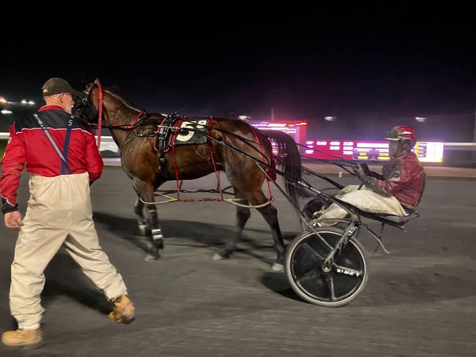 Cox racing harness horses