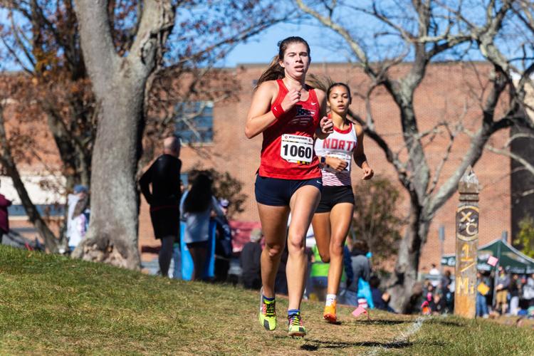 SMAC runners place at state cross country