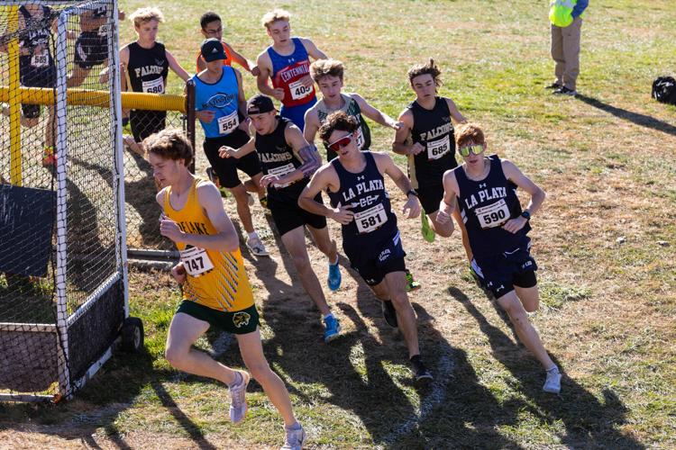 SMAC runners place at state cross country