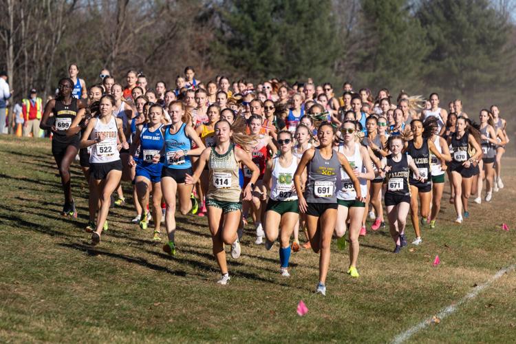 SMAC runners place at state cross country