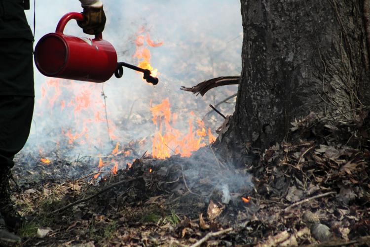 Torching the land