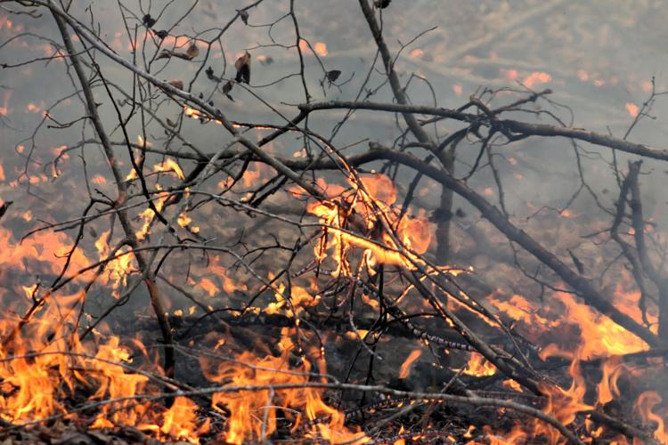 Brush ablaze