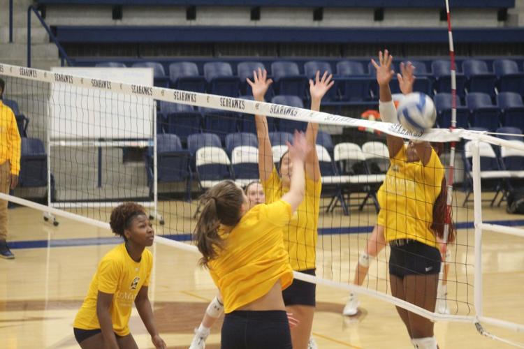 SMCM Volleyball wins UEC title